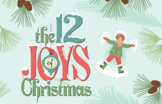 12 joys of christmas book
